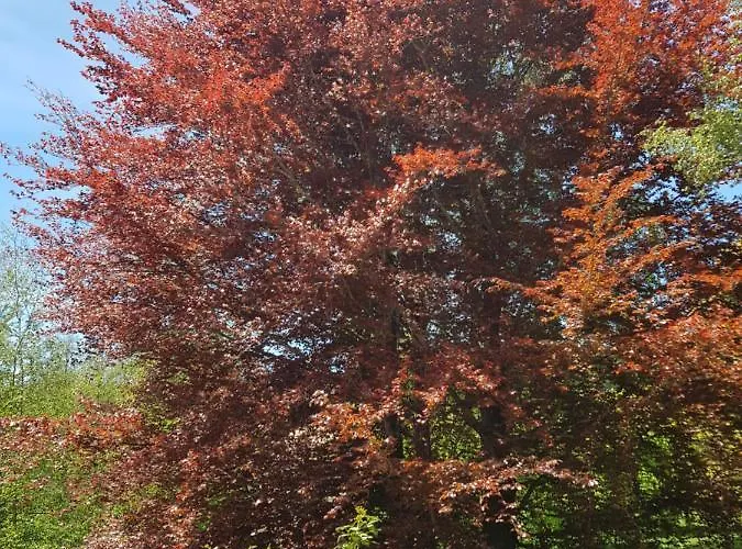 Apartmanhotel Lorica Suite Lago