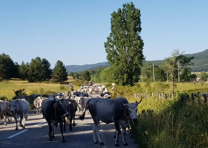 Lorica Suite Lago Lorica