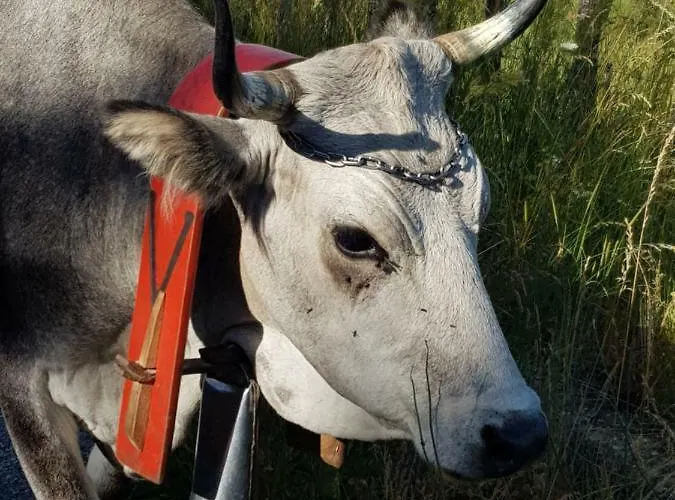 Apartmanhotel Lorica Suite Lago 4*